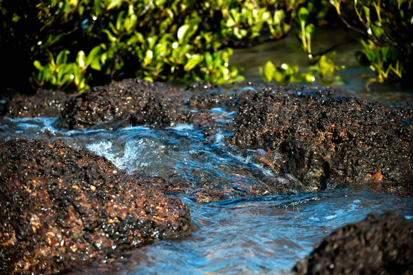 По мере того, как прилив закатывается, небольшие волны превращаются в новые скальные бассейны на пляже.