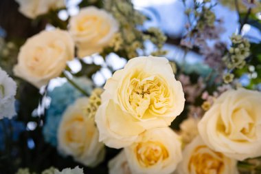 Bir düğün gününde güller, bahçe