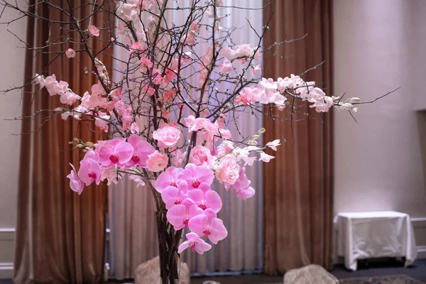 Bahçedeki güzel çiçekler 