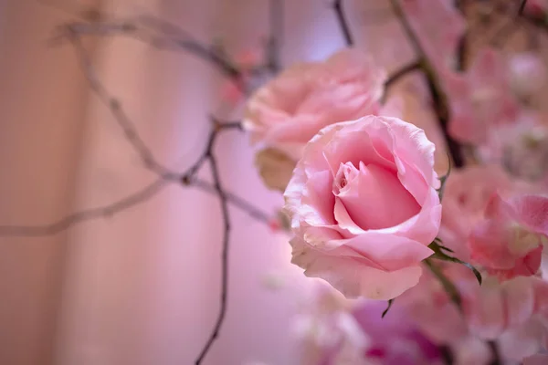 Masasında Buket Olan Pembe Güller — Stok fotoğraf