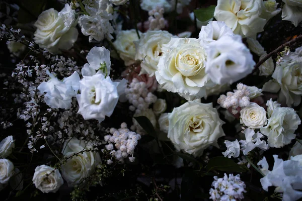 อดอกก หลาบขาว — ภาพถ่ายสต็อก