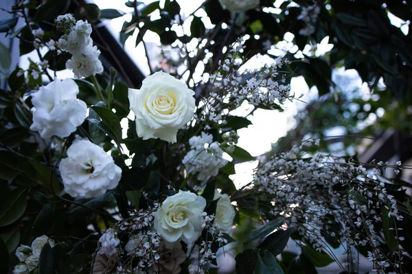 Kwiaty Ogrodzie Latem — Zdjęcie stockowe