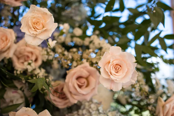 düğün dekor, seçici odak 