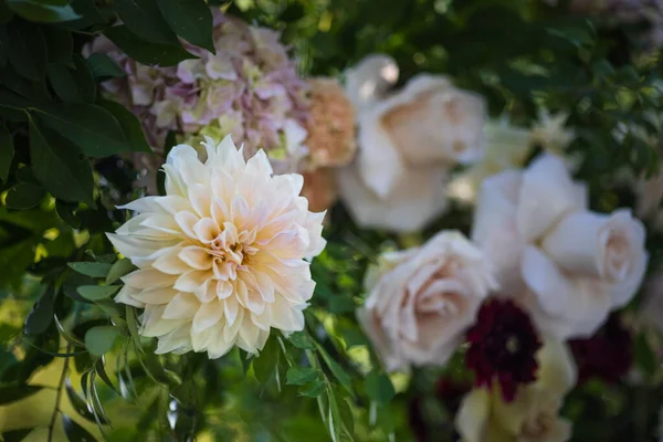 Beautiful Bouquet Flowers — Stock Photo, Image