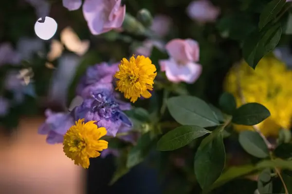 Güzel çiçeklerin güzel manzarasını kapat. 