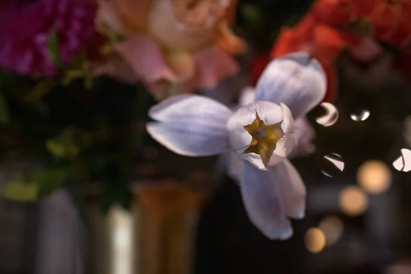 Masada Beyaz Kahverengi Çiçek Süslemesi — Stok fotoğraf