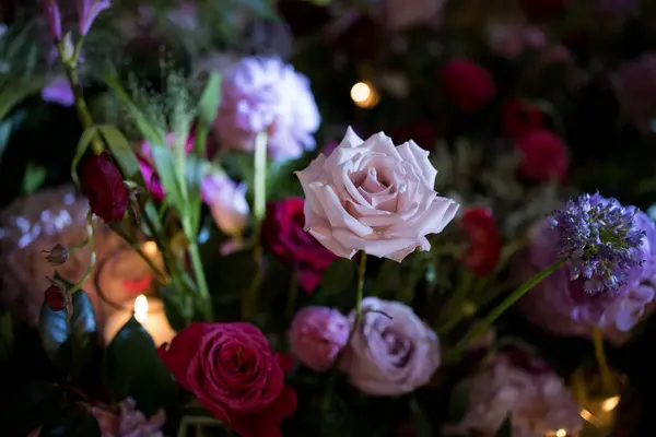 Piękne Kwiaty Tle Okna — Zdjęcie stockowe
