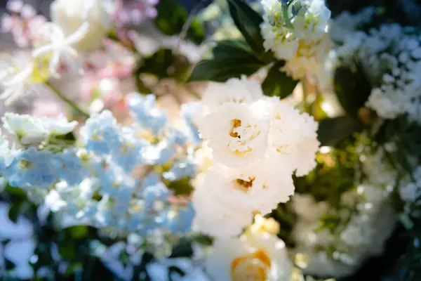 Piękne Białe Różowe Kwiaty Lisianthus — Zdjęcie stockowe