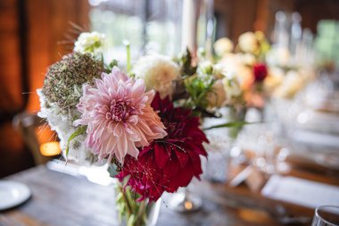 Bahçedeki güzel çiçekler 