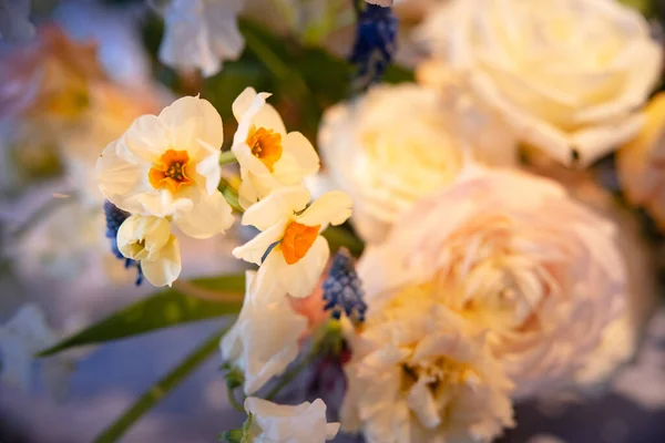 Piękne Białe Róże Ogrodzie Letni Dzień — Zdjęcie stockowe
