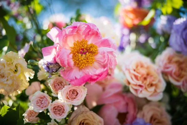 Bahçedeki güzel çiçekler 