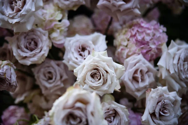 Bukiet Białych Kwiatów — Zdjęcie stockowe