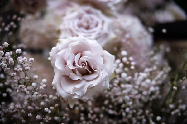 Свадебный Декор Розами — стоковое фото