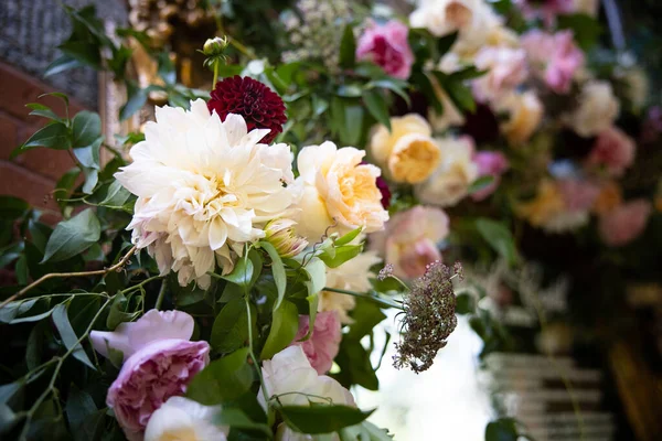 Bahçedeki güzel çiçekler 