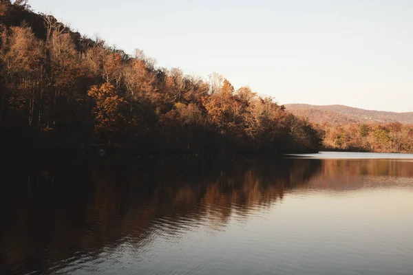 Ağaçlar ve dağlarla dolu güzel bir manzara. 