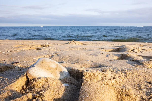 Costa Baltic Mar Com Areia Pedras — Fotografia de Stock
