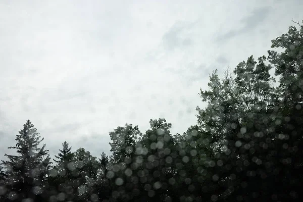 Yağmur Ormanlarındaki Cam Pencereye Yağmur Damlaları Düşer — Stok fotoğraf