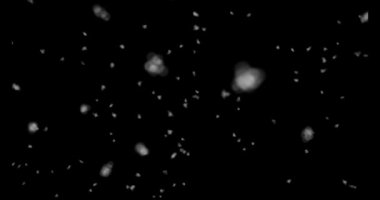 Kar Düşen Bulutlu Gerçekçi Kar Fırtınası Görsel Efektleri Yeşil Ekran Efekti Parçacıkları Şeffaf Karlı Sinema Film Tatili Yılbaşı Sakin Kara Arkaplan 4K