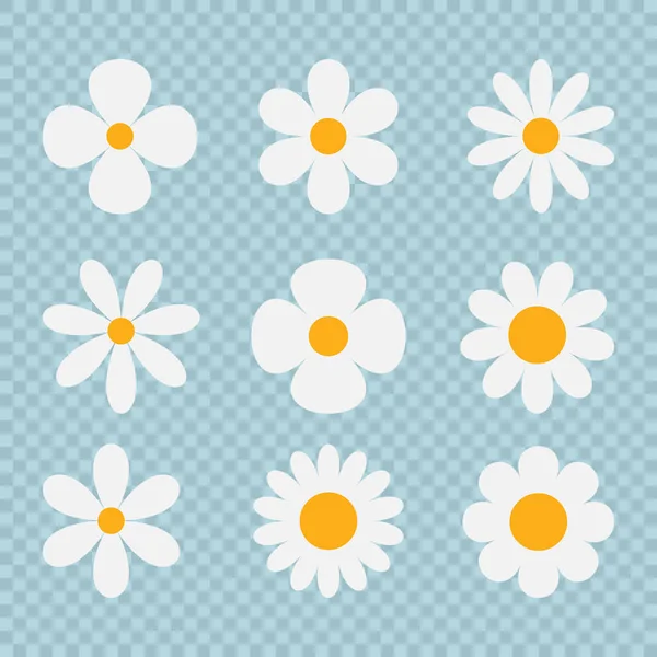 Set Weiße Gänseblümchen Isoliert Kamille Vektor Illustration lizenzfreie Stockillustrationen