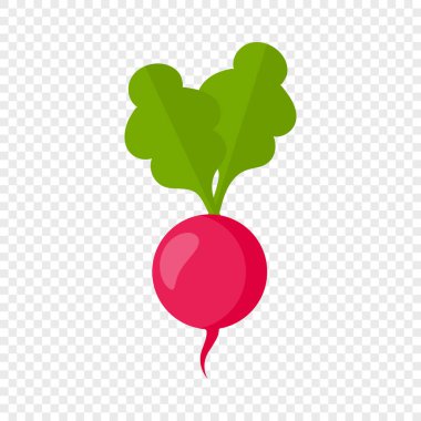 Şeffaf arkaplanda turp izole edilmiş. Taze doğal organik turp.