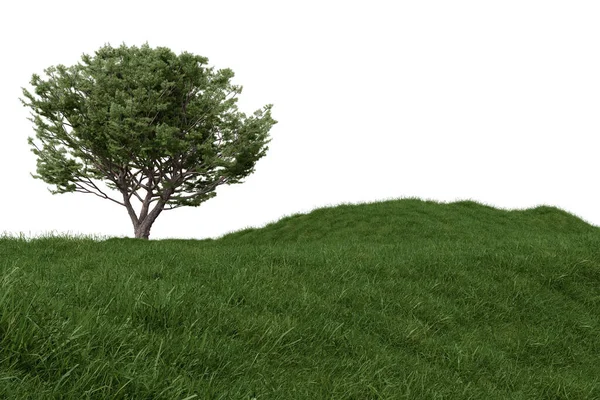 Ρεαλιστικό Χορτάρι Λόφο Και Δέντρο Απόδοση Των Μεμονωμένων Αντικειμένων Λευκό — Φωτογραφία Αρχείου