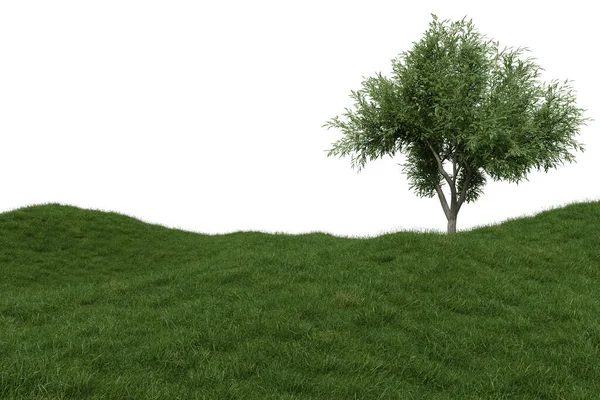 Реалистичный Травяной Холм Дерево Рендеринг Изолированных Объектов Белом Фоне — стоковое фото