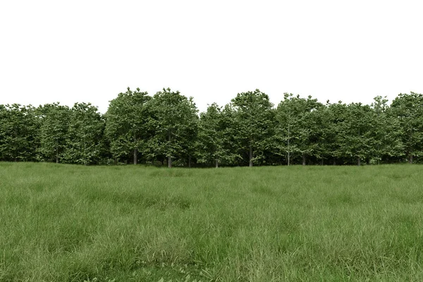 Realistyczne Trawiaste Wzgórze Leśna Linia Drzew Renderowanie Pojedynczych Obiektów Białym — Zdjęcie stockowe