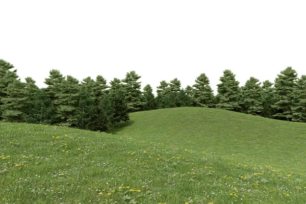 Realistyczne Trawiaste Wzgórze Leśna Linia Drzew Renderowanie Pojedynczych Obiektów Białym — Zdjęcie stockowe