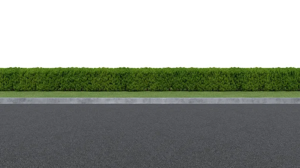 现实的路边和树篱 3D绘制孤立物体 — 图库照片