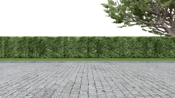 Реалістична Сторона Дороги Живоплотом Деревом Візуалізація Ізольованих Єктів — стокове фото