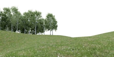 Gerçekçi çim tepesi ve orman ağacı sınırı. İzole nesnelerin 3d görüntülenmesi.