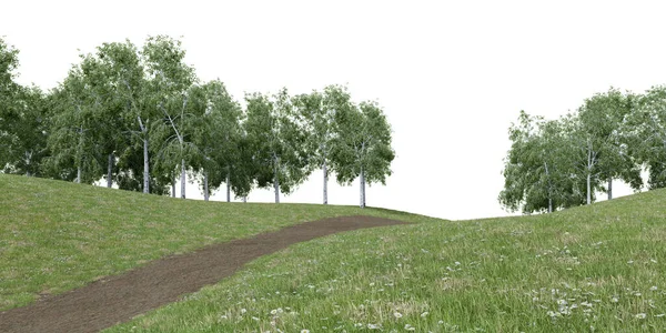 Realistický Travnatý Kopec Stezka Procházka Lesní Stromy Linie Vykreslování Izolovaných — Stock fotografie