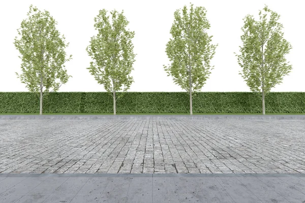 Realistyczna Strona Drogi Żywopłotem Drzewem Renderowanie Pojedynczych Obiektów — Zdjęcie stockowe