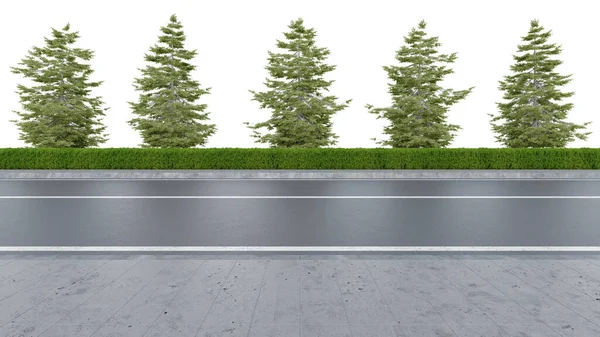 Ρεαλιστική Πλευρά Του Δρόμου Φράκτη Και Δέντρο Απόδοση Των Μεμονωμένων — Φωτογραφία Αρχείου