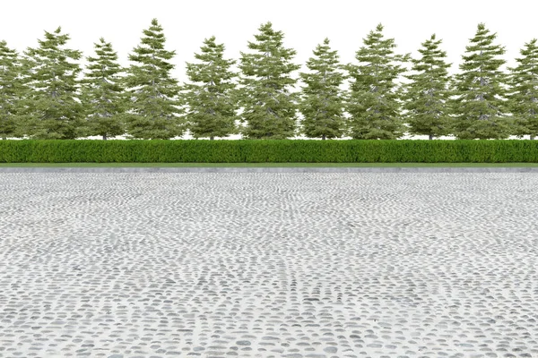 Реалістична Сторона Дороги Живоплотом Деревом Візуалізація Ізольованих Єктів — стокове фото