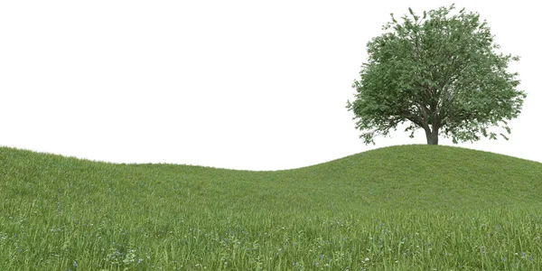 现实的草山和树 3D绘制孤立物体 — 图库照片