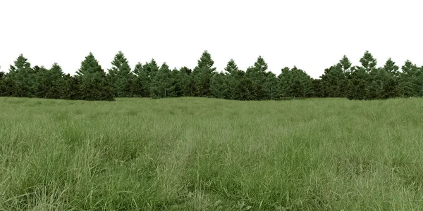 Реалистичный Травяной Холм Лесная Линия Деревьев Рендеринг Изолированных Объектов — стоковое фото