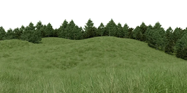 現実的な芝生の丘や森林の木のライン 孤立した物体の3Dレンダリング — ストック写真