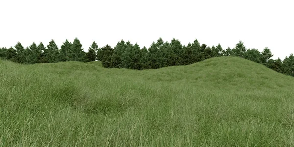 Realistic Grass Hill Forest Tree Line Rendering Isolated Objects — Stock Photo, Image