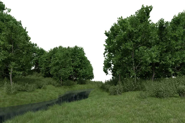 Реалистичная Трава Равнины Рекой Деревьями Рендеринг Изолированных Объектов — стоковое фото