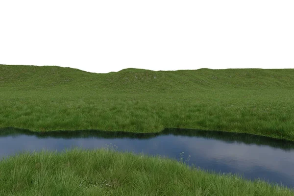 Реалистичная Трава Равнина Река Рендеринг Изолированных Объектов — стоковое фото