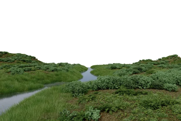 Реалистичная Трава Равнина Река Рендеринг Изолированных Объектов — стоковое фото