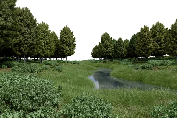 Реалістична Трава Рівнина Річкою Деревами Візуалізація Ізольованих Єктів — стокове фото
