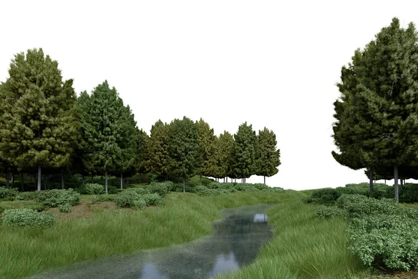 Реалістична Трава Рівнина Річкою Деревами Візуалізація Ізольованих Єктів — стокове фото