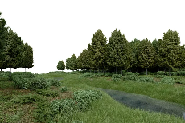 나무가 현실적 물체의 렌더링 — 스톡 사진