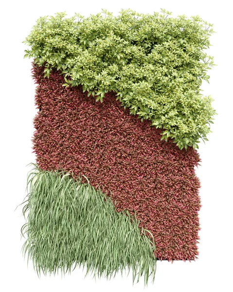 Realistic Vertical Garden Rendering Isolated Objects — Stock Photo, Image