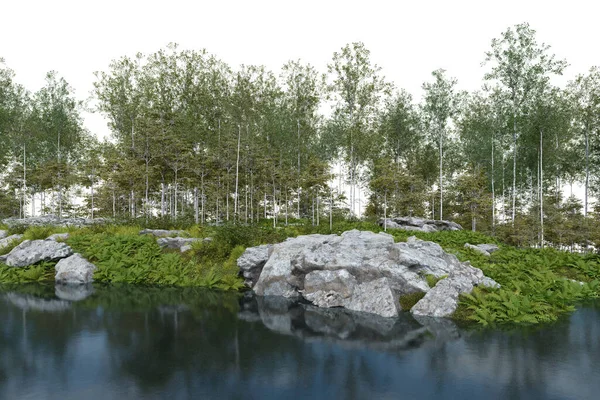 Realistic Riverbank Vegetation Forest Rendering Isolated Objects — Stock Photo, Image