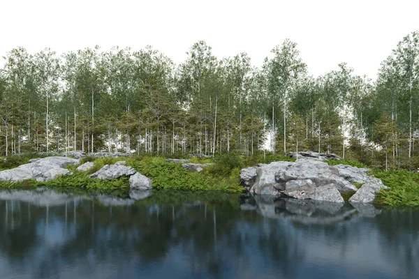 Realistický Břeh Řeky Vegetací Lesem Vykreslování Izolovaných Objektů — Stock fotografie