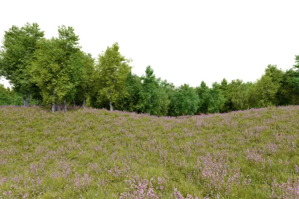 Realistische Wiesen Und Waldgrenze Darstellung Von Isolierten Objekten — Stockfoto