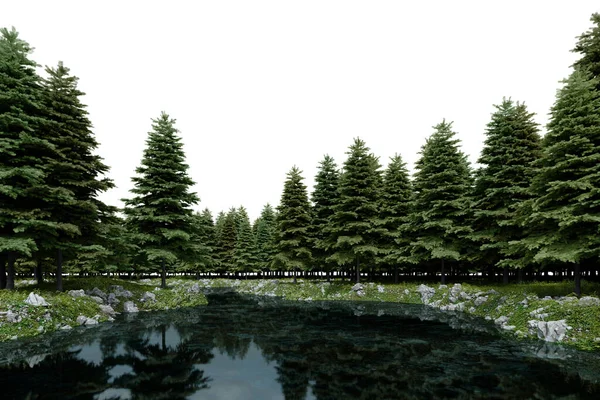 现实的湖泊和林木线 3D绘制孤立物体 — 图库照片